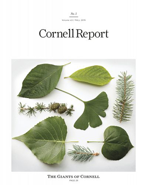 Cornell Report Fall 2019